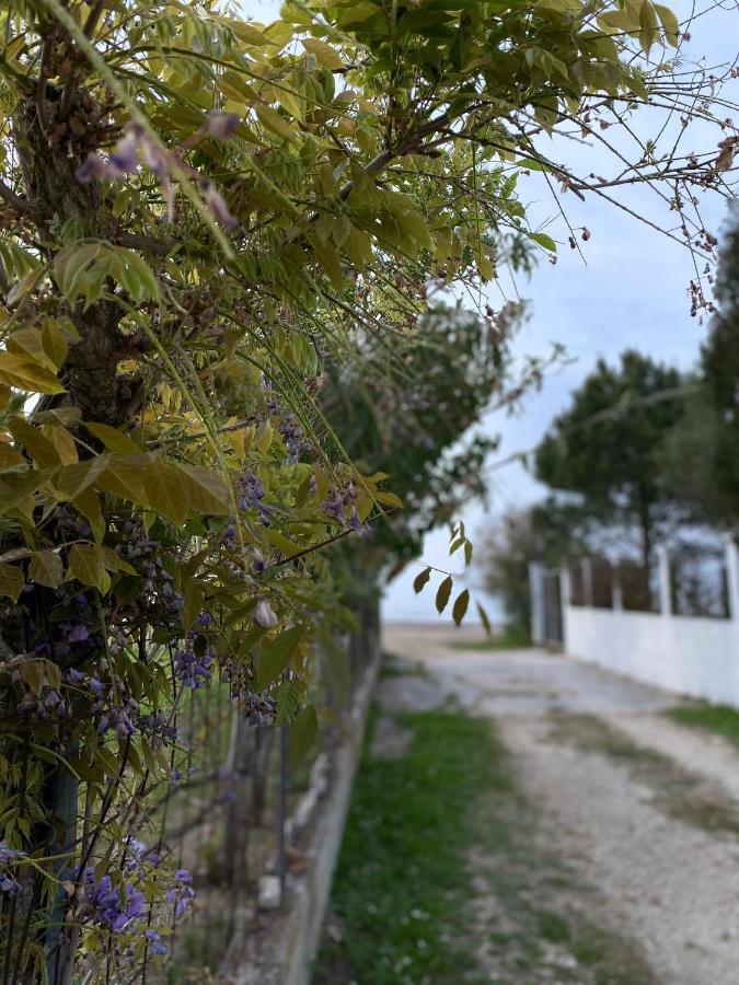 Endless Green: Feel Free And Cozy In Nature Perivólion Exterior foto