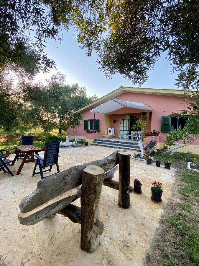 Endless Green: Feel Free And Cozy In Nature Perivólion Exterior foto